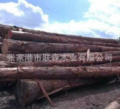江蘇柳桉木廠家直銷 柳桉木哪家好 柳桉木 柳桉木價(jià)格 蘇州柳桉木制造商 蘇州柳桉木供應(yīng)商 江蘇柳桉木批發(fā)價(jià)格 柳桉木報(bào)價(jià)