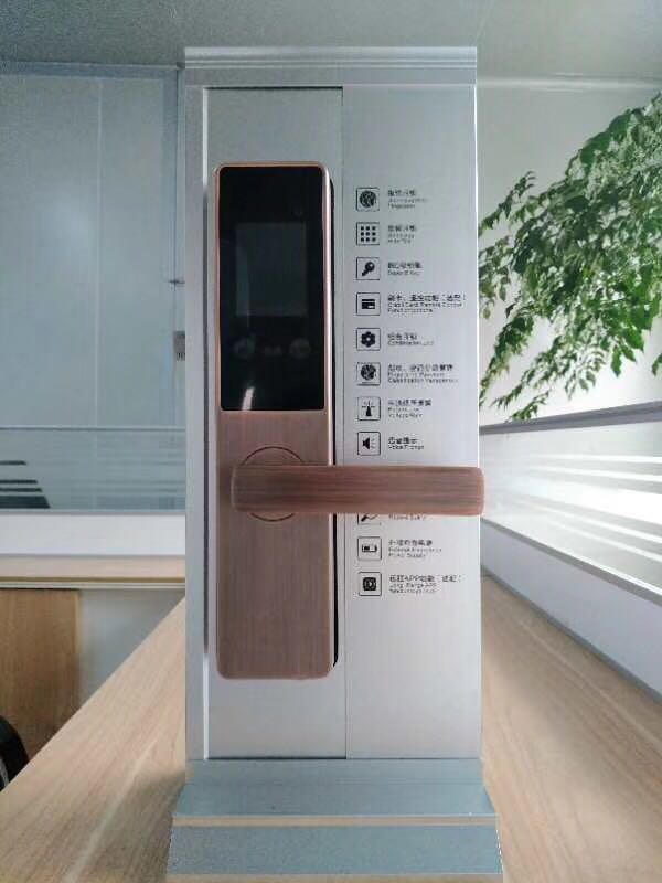 廣東人臉識別鎖廠家供應(yīng)工程款人臉識別鎖SV613