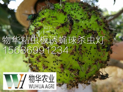 物理方式殺蟲_物理防治害蟲就用物華牌太陽能殺蟲燈