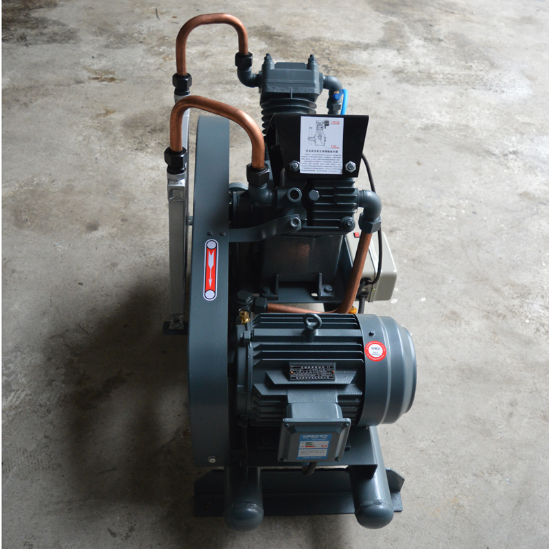 勇霸氮?dú)庠鰤簷C(jī)廠家 VW-20/2-10無油氮?dú)庠鰤簷C(jī)批發(fā) 3KW氮?dú)庠鰤簷C(jī)價(jià)格