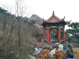 庭院雕塑景觀  庭院雕塑景觀價格 古建涼亭價格仿木景觀長廊 仿木景觀花架