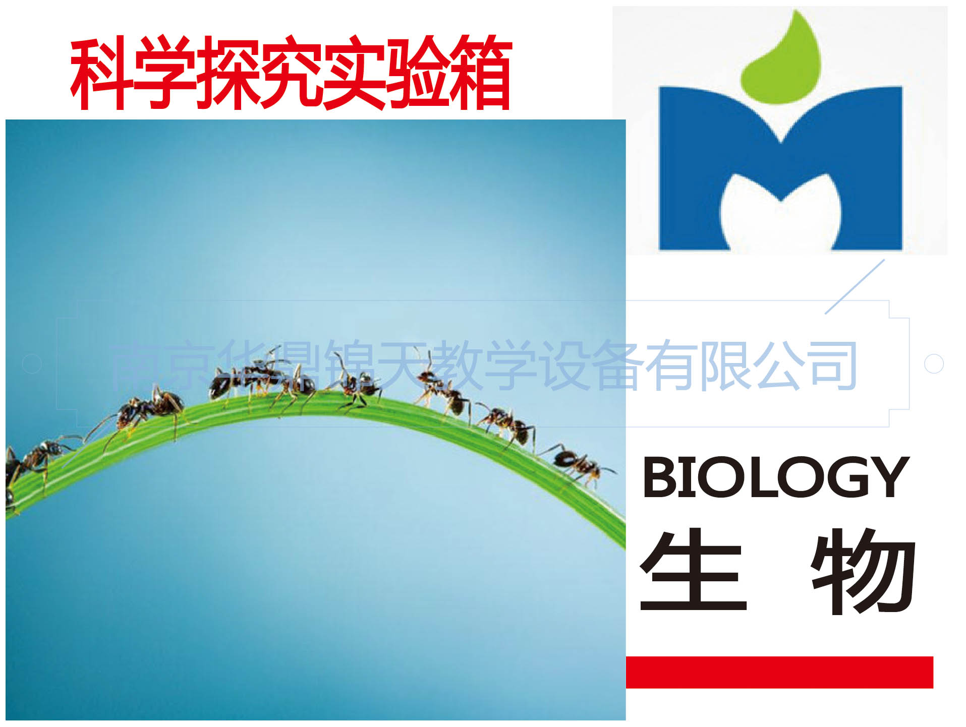 生物實驗箱 地球科學標本實驗箱 科普
