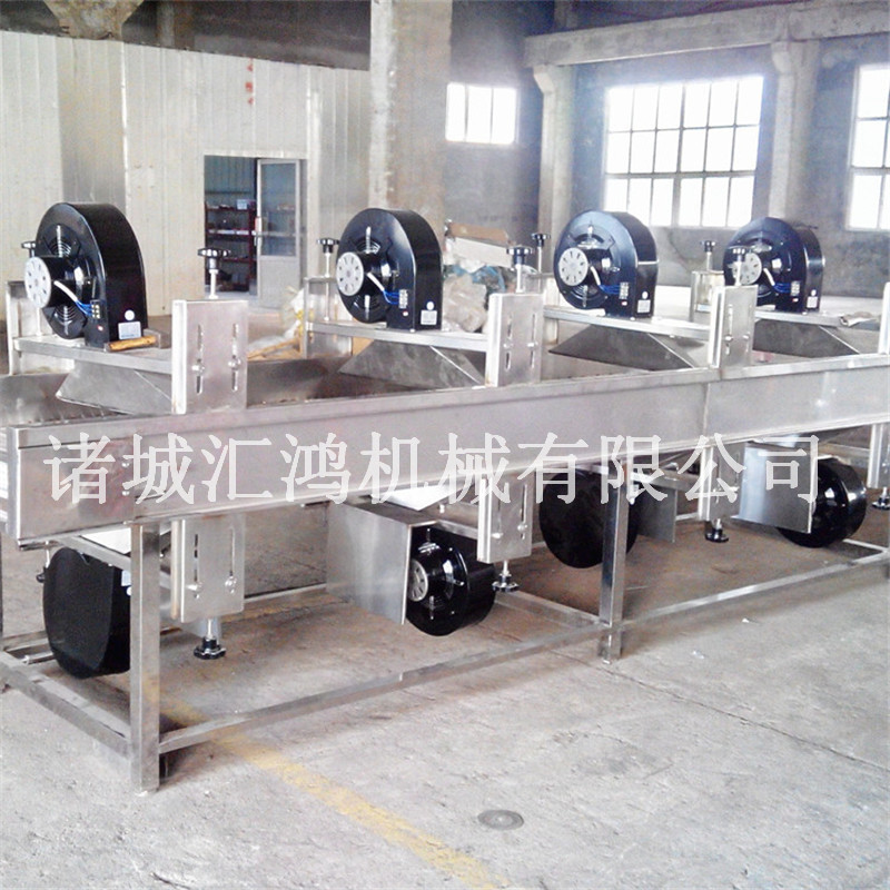 火龍果風干機 匯鴻水果蔬菜除水風干線 自動脫水加工設(shè)備