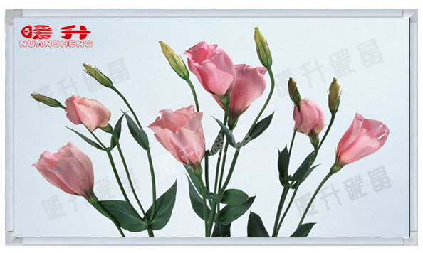 務(wù)川仡佬族苗族自治縣碳晶墻暖批發(fā)務(wù)川仡佬族石墨烯碳晶墻暖務(wù)