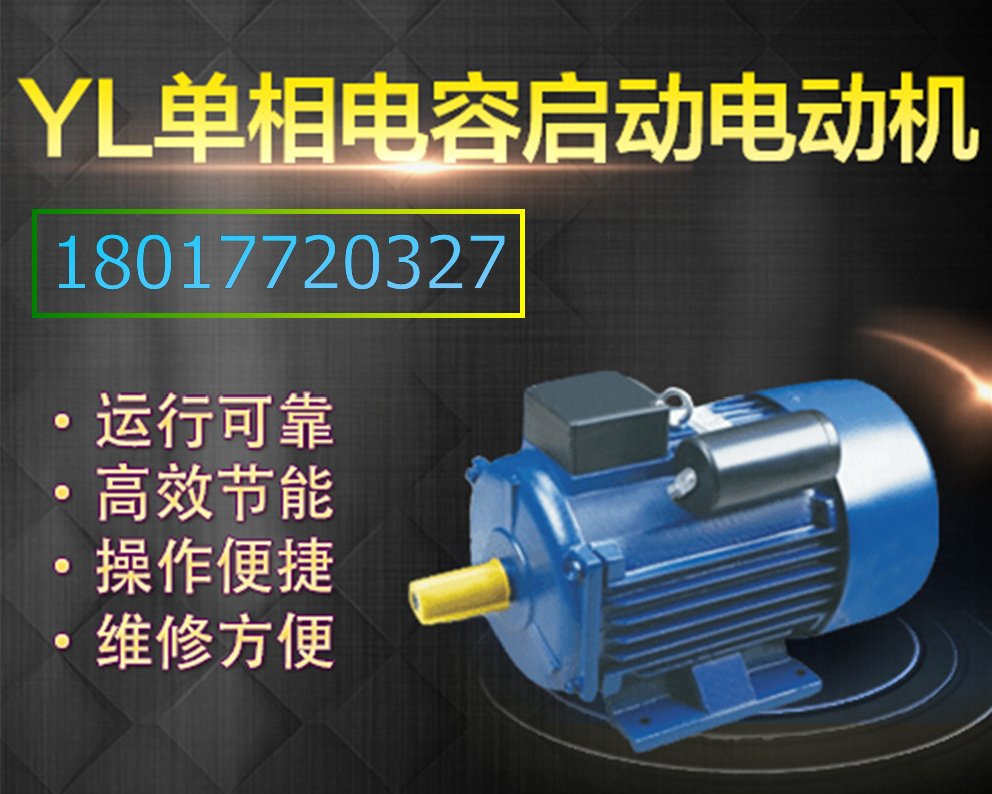 上海左力 YE2普通電機(jī) YE2