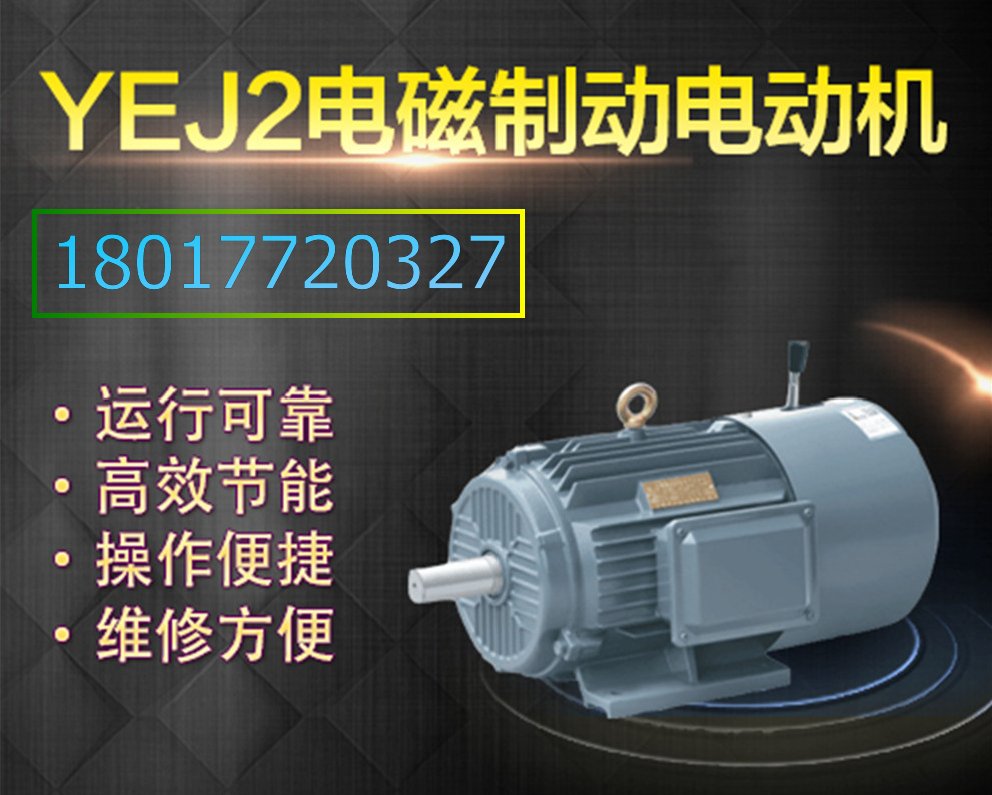 上海左力 YE3*電機 YE3