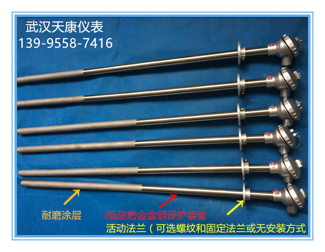 供應(yīng)耐磨熱電偶 耐磨熱電偶價(jià)格 耐磨熱電偶報(bào)價(jià)  耐磨熱電偶