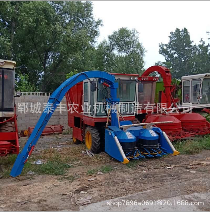 全自動(dòng)青儲(chǔ)機(jī)價(jià)格 全自動(dòng)青儲(chǔ)機(jī)供應(yīng)商 全自動(dòng)青儲(chǔ)機(jī)哪家好  全自動(dòng)青儲(chǔ)機(jī)電話 山東全自動(dòng)青儲(chǔ)機(jī)