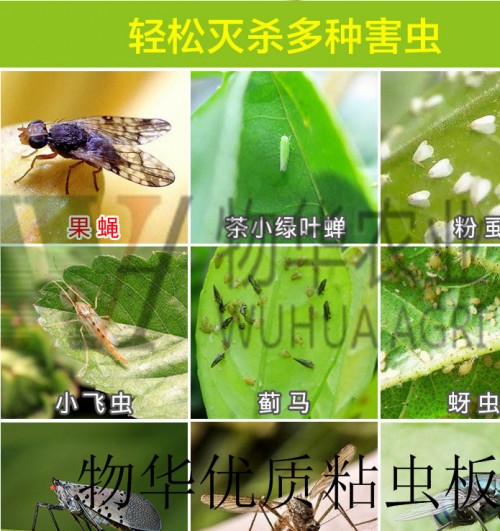 誘蟲板廠家*_粘蟲板廠家 黃色粘蟲板價(jià)格