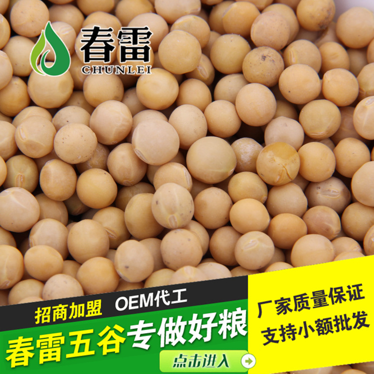 東旭糧油低溫烘焙五谷熟黃豆