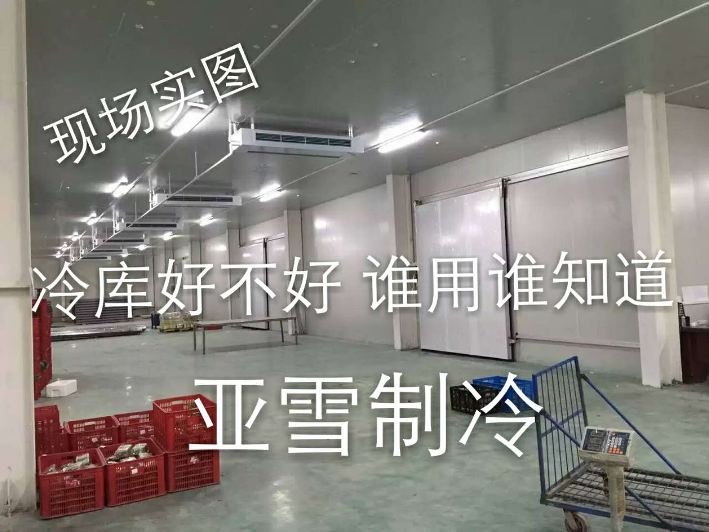 常州速凍冷庫供應(yīng)商_速凍冷庫廠家批發(fā)_江蘇速凍冷庫安裝展速凍冷庫家直銷 速凍冷庫廠家直銷