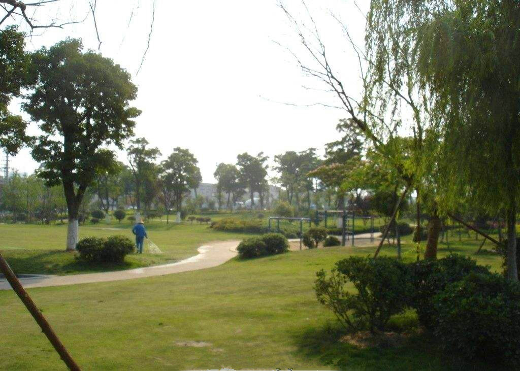 綠地養(yǎng)護 花園養(yǎng)護  公園養(yǎng)護 上海諧積園林有專業(yè)技術(shù)