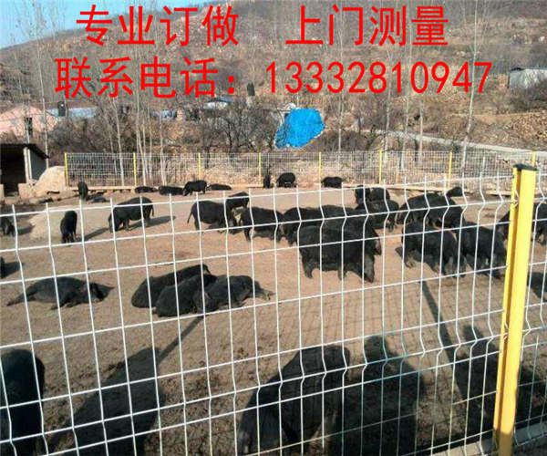 云浮花園隔離網(wǎng)訂做 肇慶場(chǎng)地圍欄熱銷 潮州養(yǎng)豬場(chǎng)護(hù)欄廠家