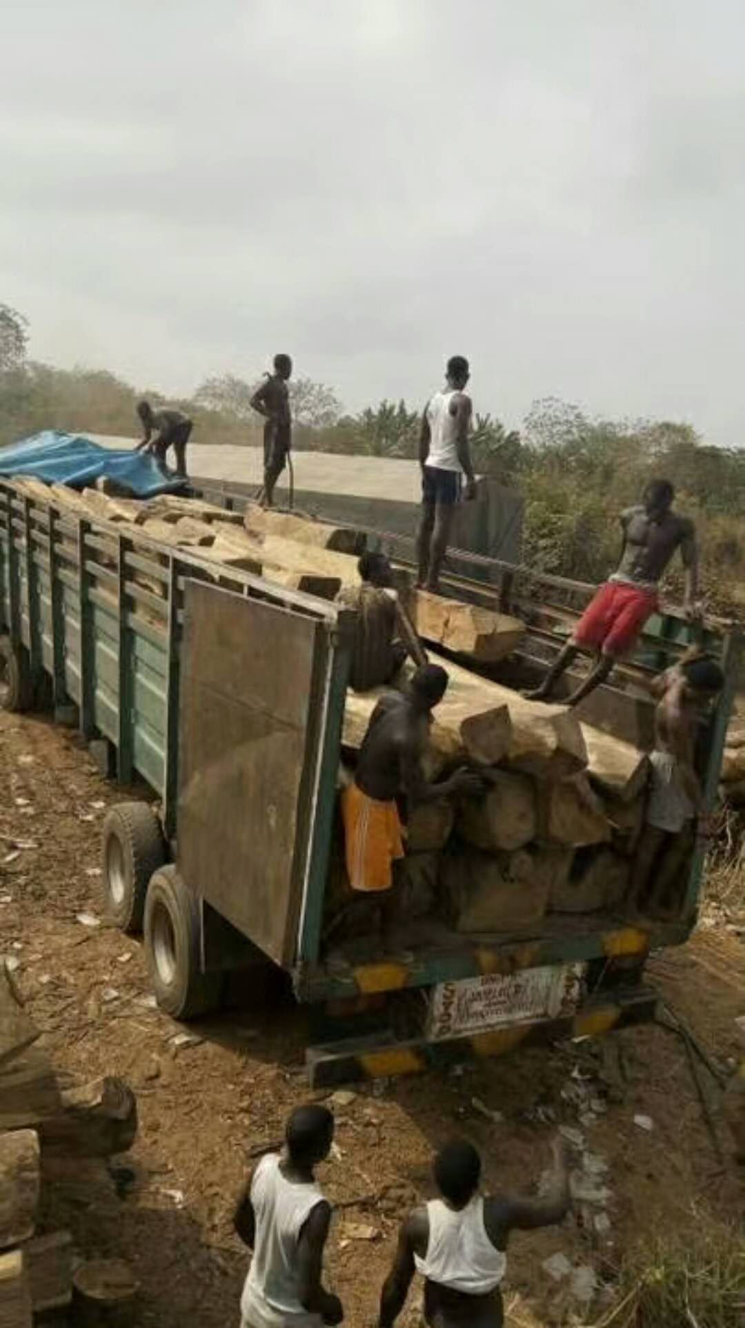 非洲木材進(jìn)口報(bào)關(guān)行|黃埔港木材進(jìn)口清關(guān)公司