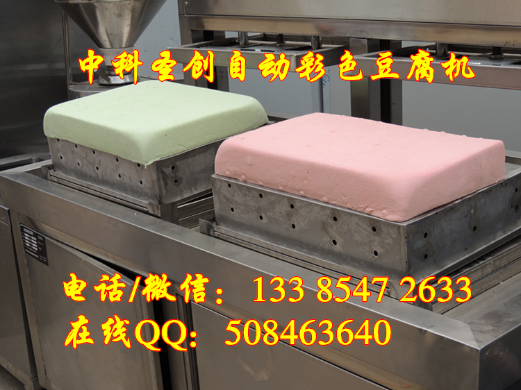 常州自動化鹵水豆腐機 小型豆腐機