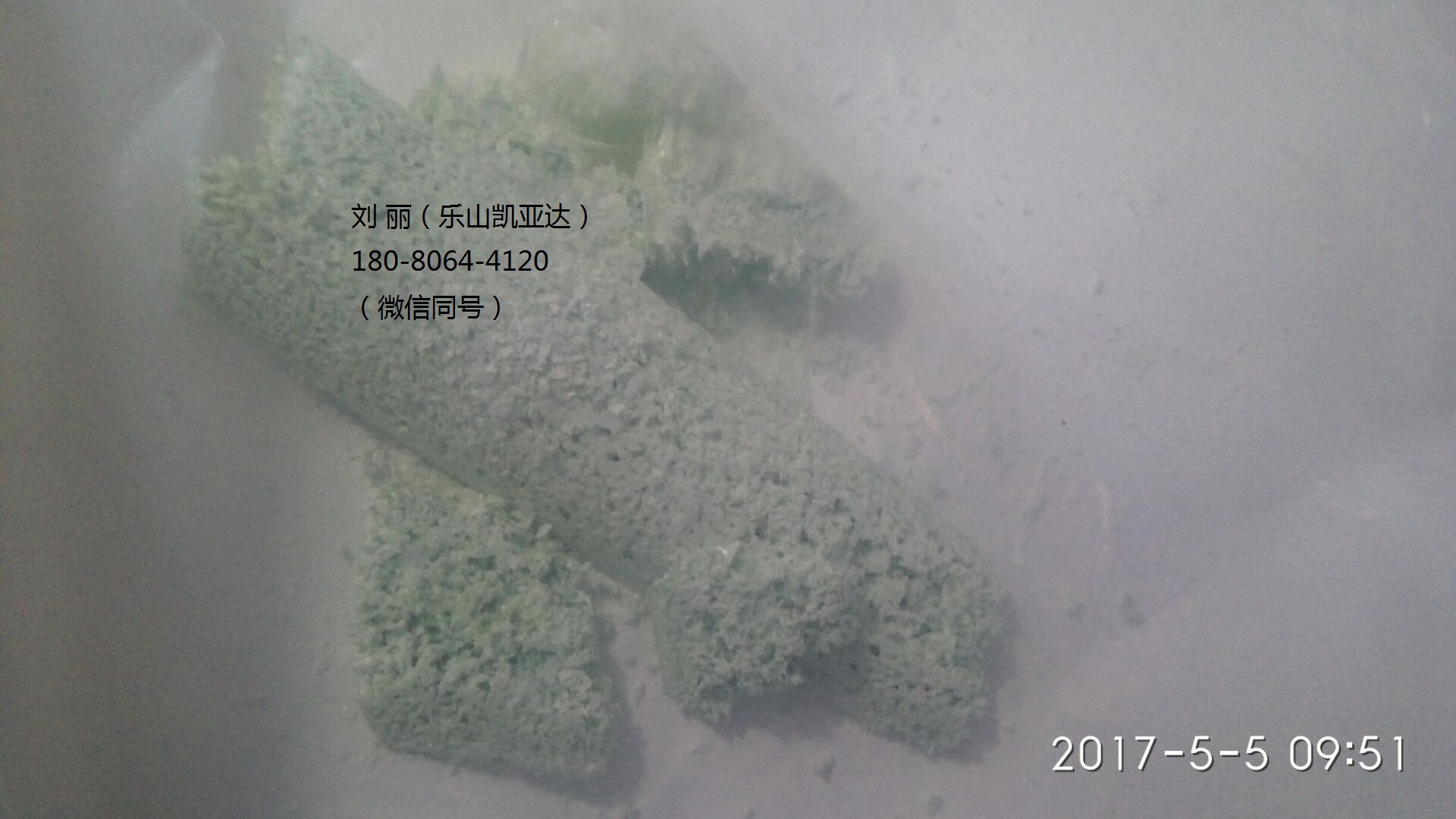 99.99%二硫化硅 SiS2 Silicon(Ⅳ) Sulfide