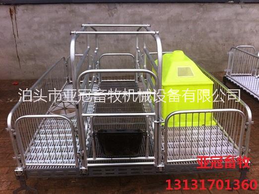 全復(fù)合板母豬產(chǎn)床廠家