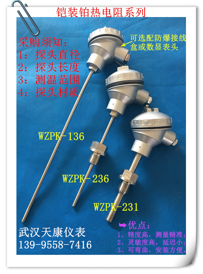 供應pt100鎧裝熱電阻 pt100鎧裝熱電阻報價 pt100鎧裝熱電阻