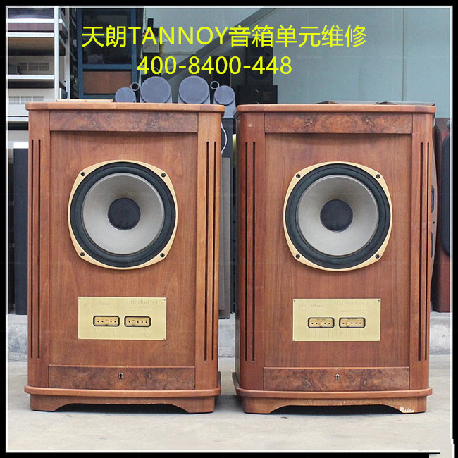 Tannoy天朗音響、音箱的維修
