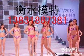 禮儀公司/禮儀*【衡水潔美文化】