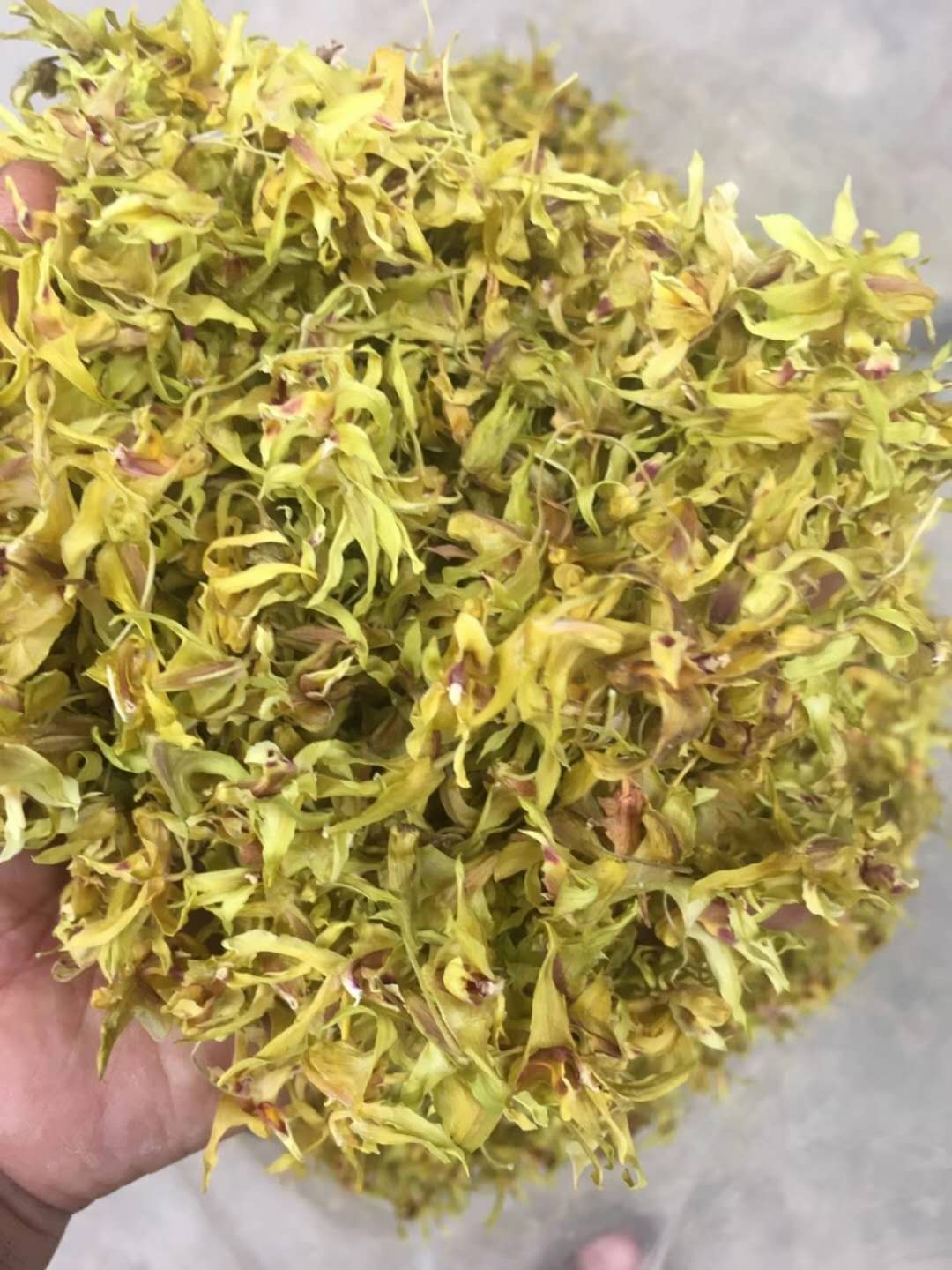 雁蕩山鐵皮石斛花原產(chǎn)地品質(zhì)保證香郁甘甜功效好