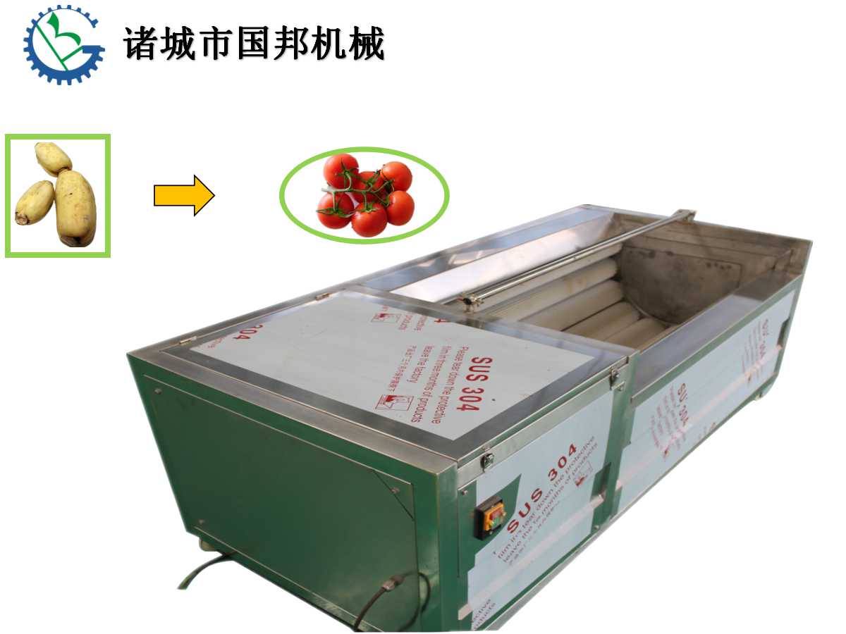 黃瓜毛刷清洗機(jī)-果蔬毛刷清洗機(jī)