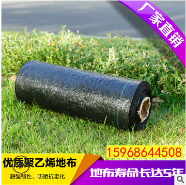 園藝地布價(jià)格   園藝地布供應(yīng)商   園藝地布哪家好   園藝地布電話   園藝地布廠家