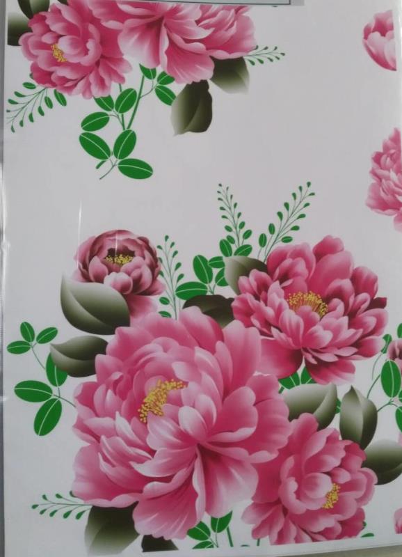 彩鋼卷板彩涂卷板使用說明彩鋼卷原文