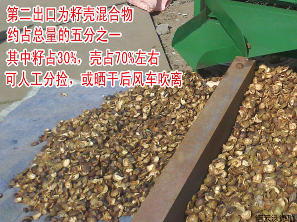 福建油茶果剝殼機供應商廠家-油茶果剝殼機報價