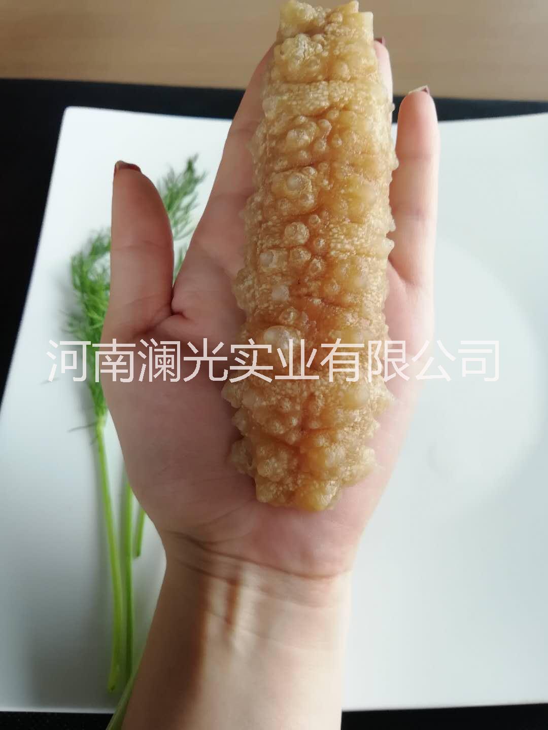 桑吉島*天然海參 海參 桑吉島*海參 桑吉島海參 桑吉島海參價(jià)格 海參價(jià)格 海參供應(yīng)商