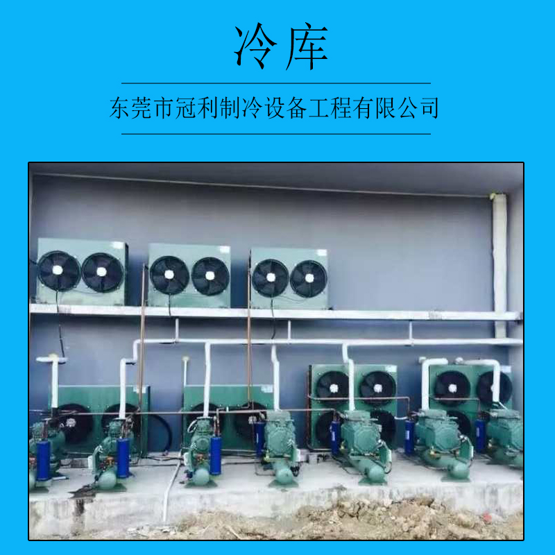 東莞冷庫*的服務(wù)公司_東莞萬江冷庫_東莞莞城冷庫_東莞東城冷庫_東莞南城冷庫安裝工程