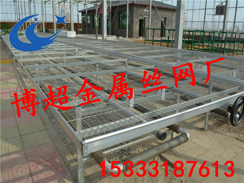 移動苗床和潮汐式苗床有什么區(qū)別？