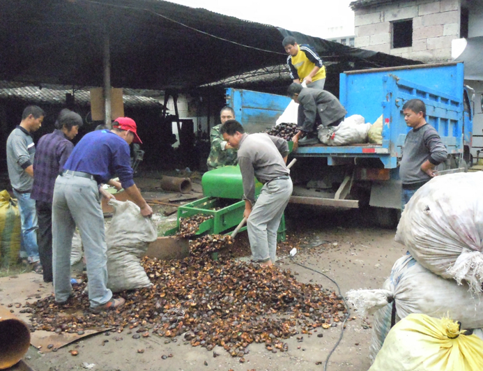 湖南油茶果去皮機(jī)-油茶果去皮茶果剝殼機(jī)價(jià)格@油茶果去皮機(jī)多少錢@★油茶果剝殼機(jī)@油茶果去皮機(jī)品牌 油茶果去皮機(jī)哪里生產(chǎn)