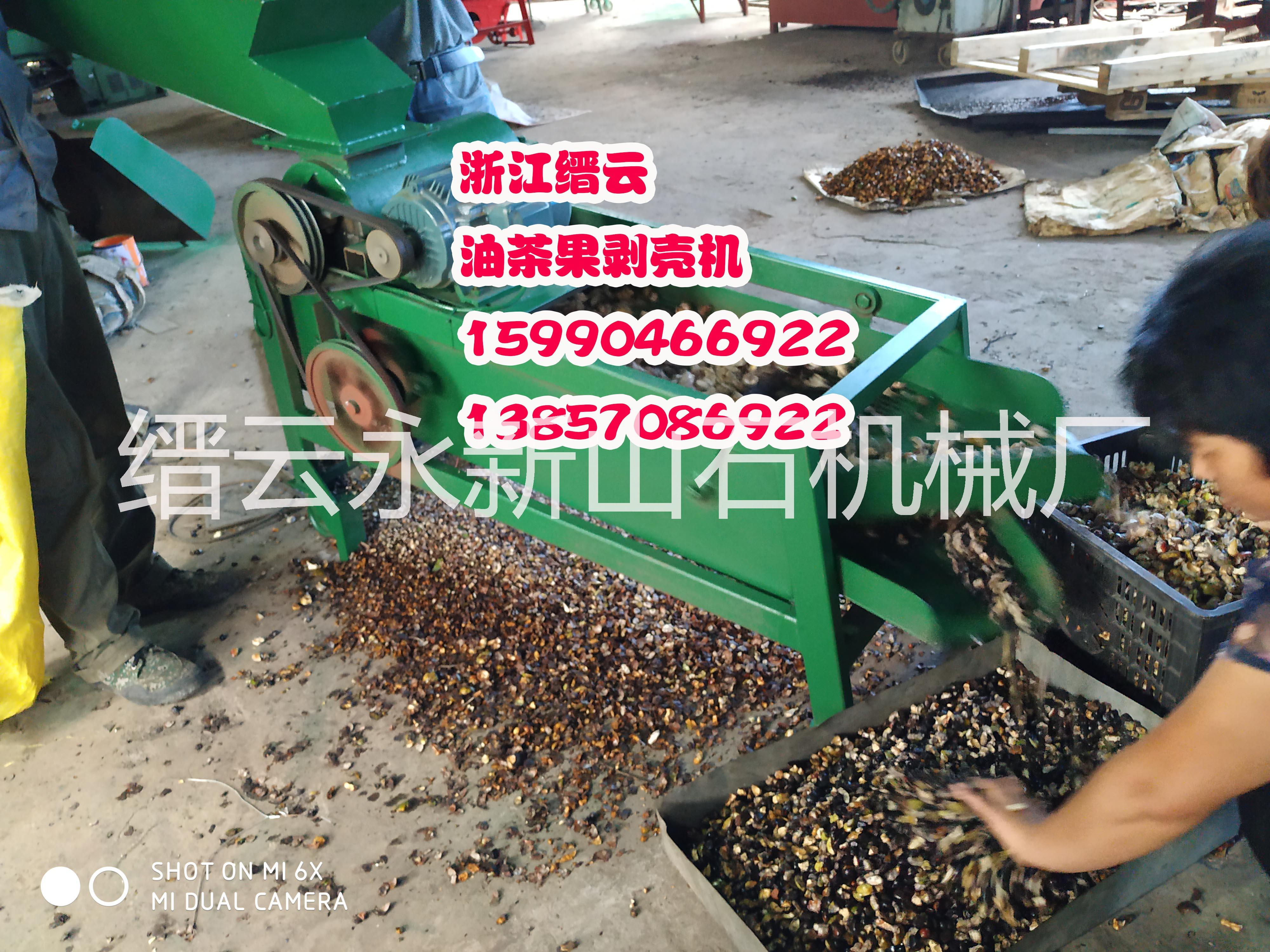 油茶果剝殼機殼籽精選機-油茶果去皮機設(shè)備-油茶果去皮機生產(chǎn)廠家-油茶果去皮機多少錢