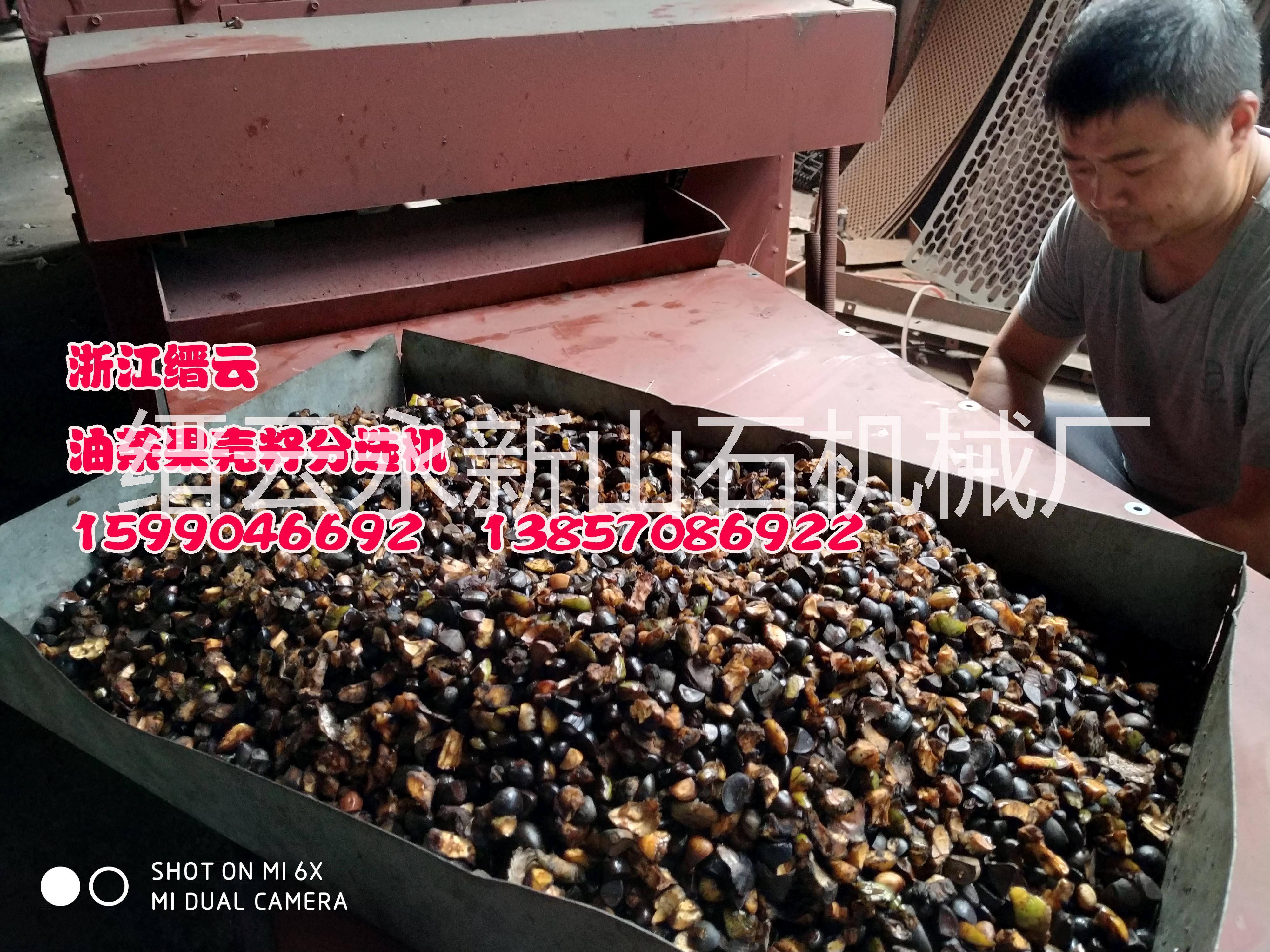 油茶果剝殼機殼籽精選機-油茶果去皮機設(shè)備-油茶果去皮機生產(chǎn)廠家-油茶果去皮機多少錢