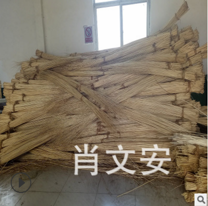 編織柳條 編織柳條報(bào)價(jià) 編織柳條電話 編織柳條批發(fā) 編織柳條哪家好 編織柳條供應(yīng)商