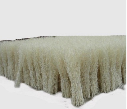 全國(guó)直銷 龍柳 龍柳廠家批發(fā) 龍柳供應(yīng)商 龍柳批發(fā)供應(yīng)商 水培龍柳廠家 龍柳干支供應(yīng)商