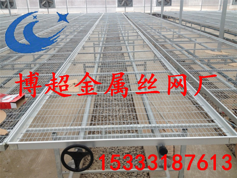 使用潮汐式灌溉的優(yōu)勢(shì)有哪些？