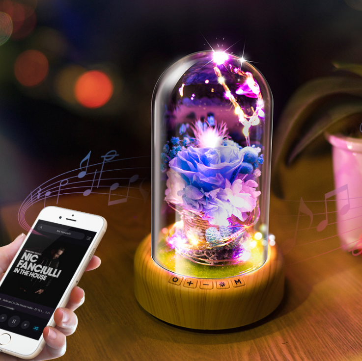 音響小夜燈 音響小夜燈價(jià)格 音響小夜燈批發(fā) 音響小夜燈廠家