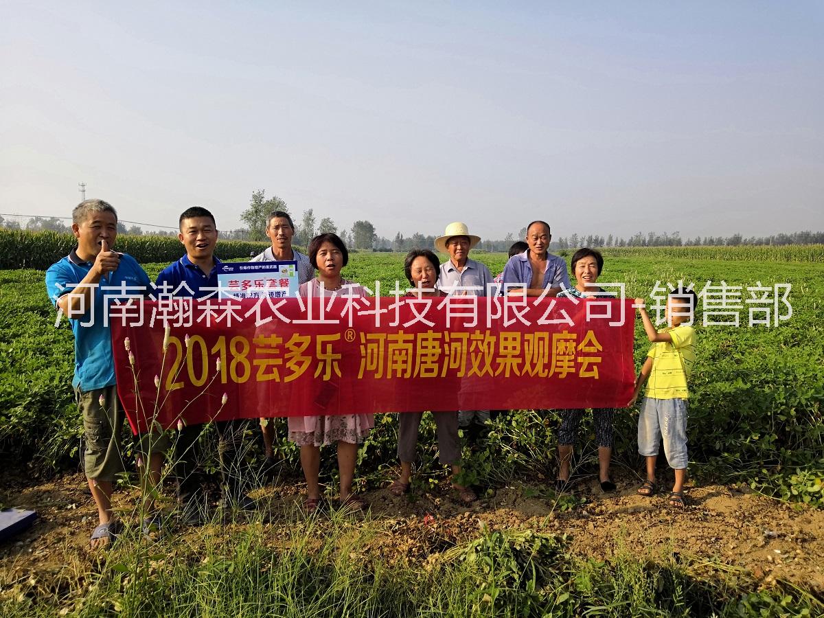 蕓多樂套餐配方蕓多樂廠家 蕓多樂套餐