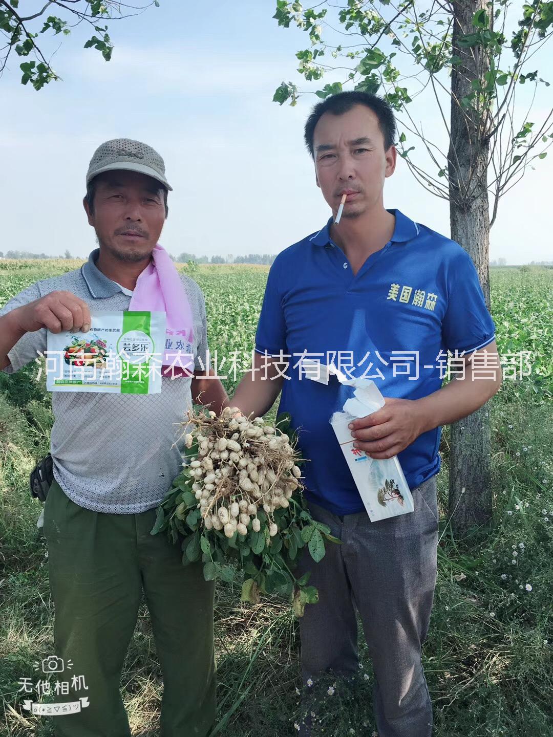增產(chǎn)套餐蕓多樂(lè)多少錢 蕓多樂(lè)