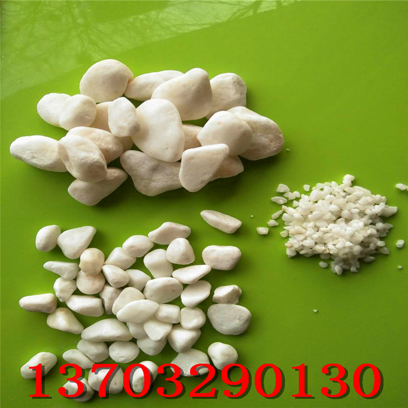 廠家供應(yīng) 鵝卵石 白色鵝卵石 園藝 裝飾用拋光鵝卵石