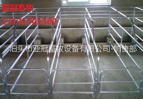 養(yǎng)豬場(chǎng)用母豬定位欄限位欄多少錢