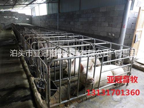 10個(gè)豬位帶食槽母豬限位欄生產(chǎn)商