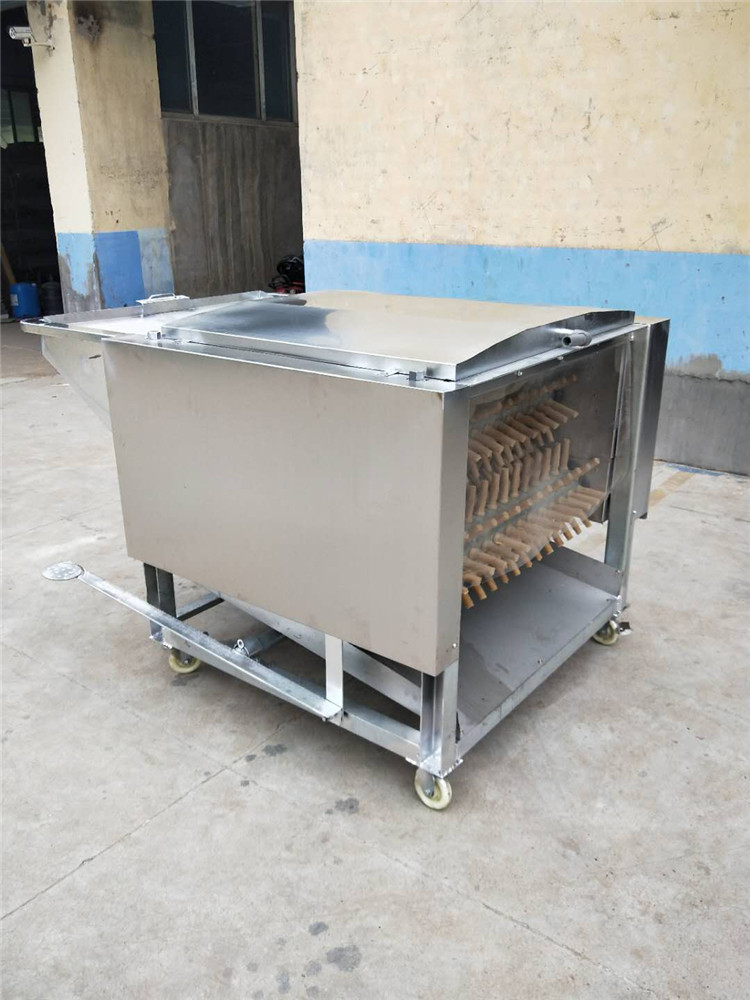 市場鴨子拔毛機(jī)
