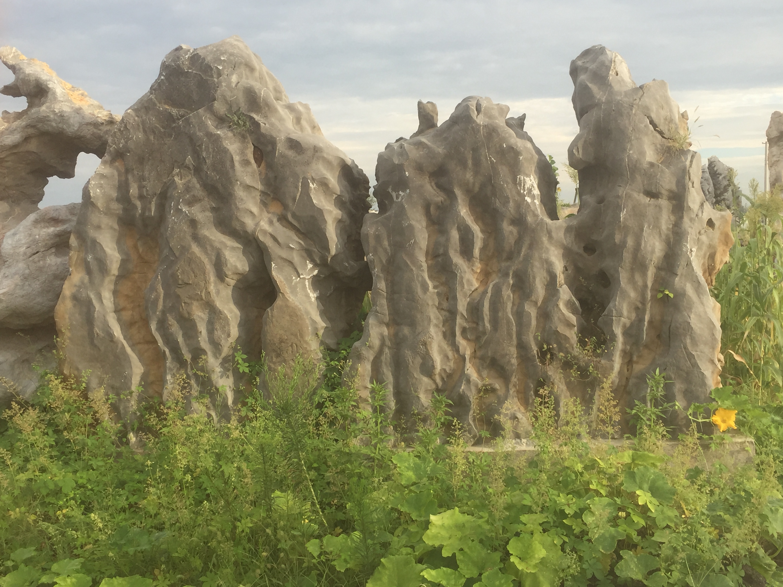 假山石批發(fā)_安徽假山石批發(fā)_江蘇 假山石批發(fā)_上海假山石批發(fā)