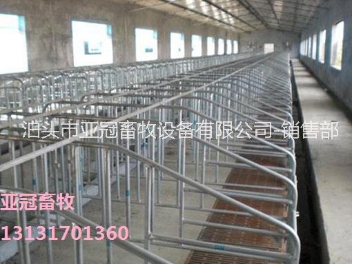 亞冠YG-05母豬定位欄限位欄機(jī)械設(shè)備