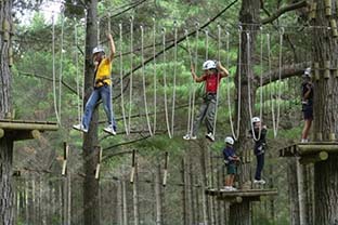 叢林探險樂園設施報價_ 叢林拓展廠家