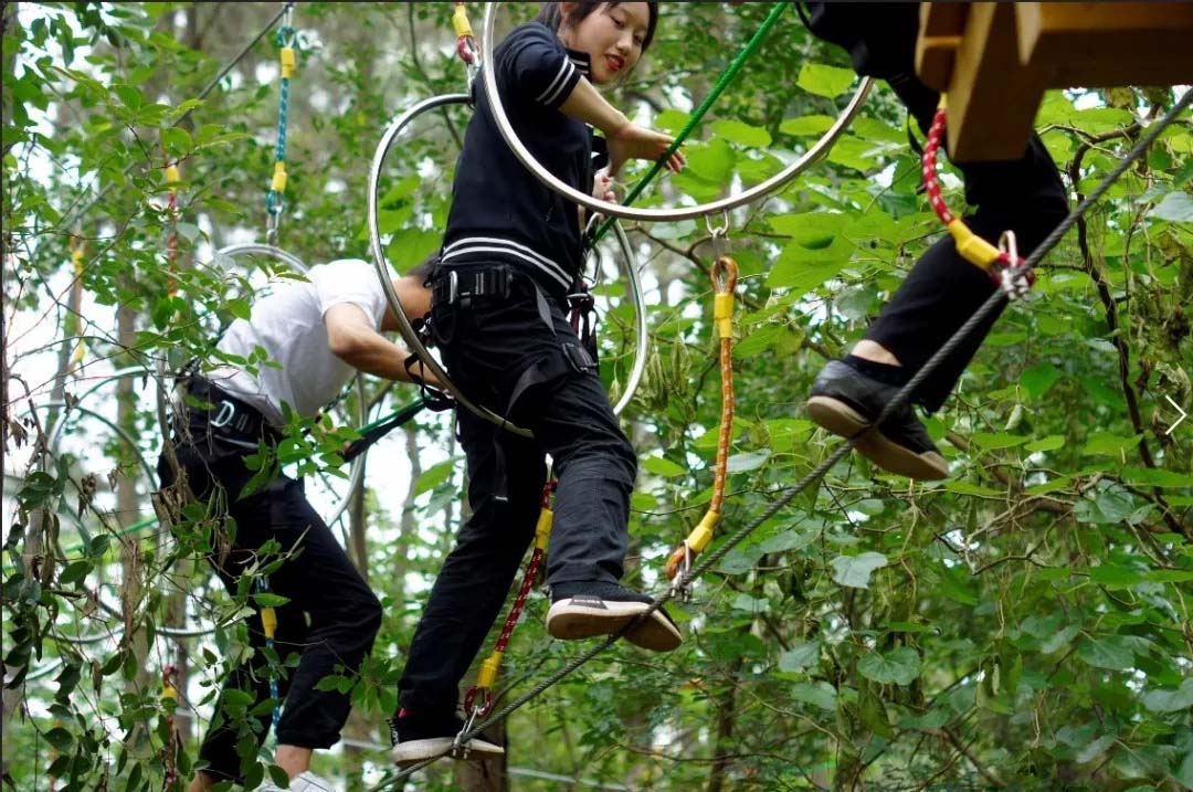 森林叢林穿越拓展設(shè)施_叢林探險設(shè)施廠家 森林叢林穿越拓展設(shè)施廠家