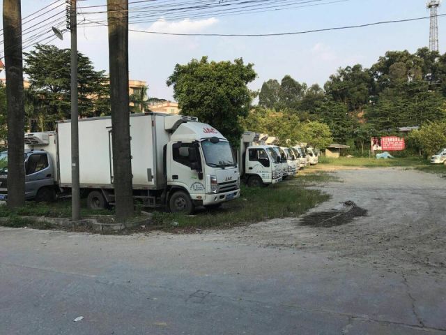 承運各種冷凍保鮮品冷藏運輸 專業(yè)承運各種冷凍保鮮品冷藏運輸 珠三角至全國冷藏運輸